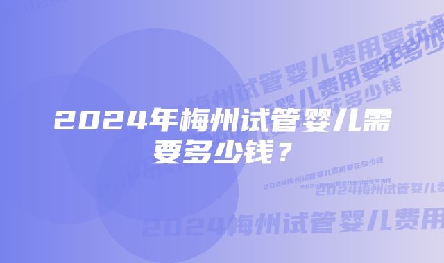 2024年梅州试管婴儿需要多少钱？