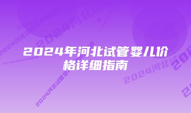 2024年河北试管婴儿价格详细指南