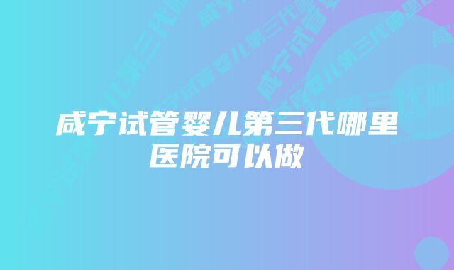 咸宁试管婴儿第三代哪里医院可以做