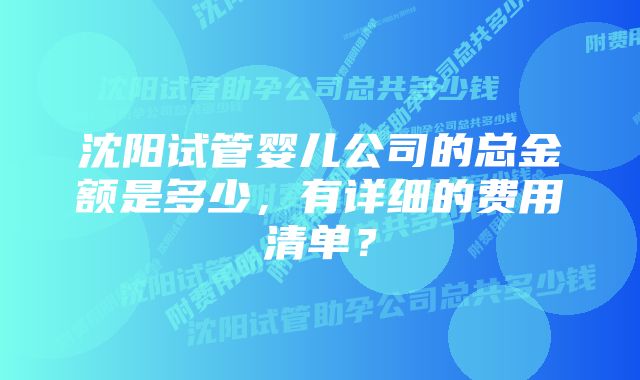 沈阳试管婴儿公司的总金额是多少，有详细的费用清单？