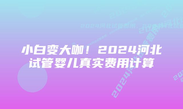 小白变大咖！2024河北试管婴儿真实费用计算