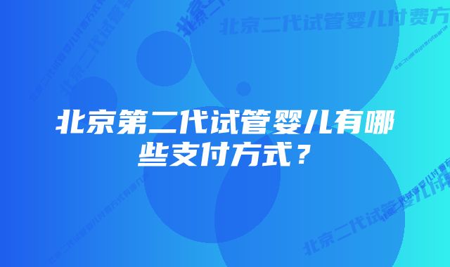 北京第二代试管婴儿有哪些支付方式？