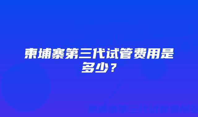 柬埔寨第三代试管费用是多少？