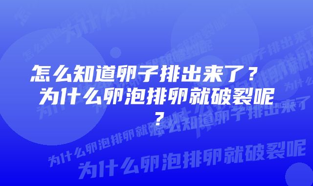 怎么知道卵子排出来了？ 为什么卵泡排卵就破裂呢？