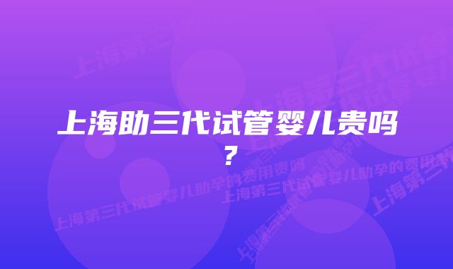 上海助三代试管婴儿贵吗？