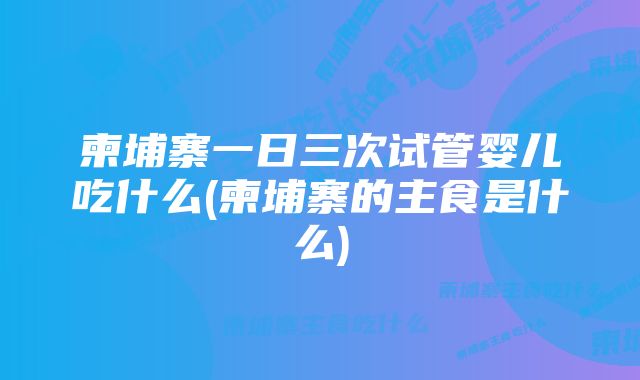 柬埔寨一日三次试管婴儿吃什么(柬埔寨的主食是什么)