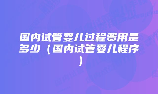 国内试管婴儿过程费用是多少（国内试管婴儿程序）