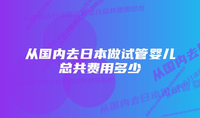 从国内去日本做试管婴儿总共费用多少