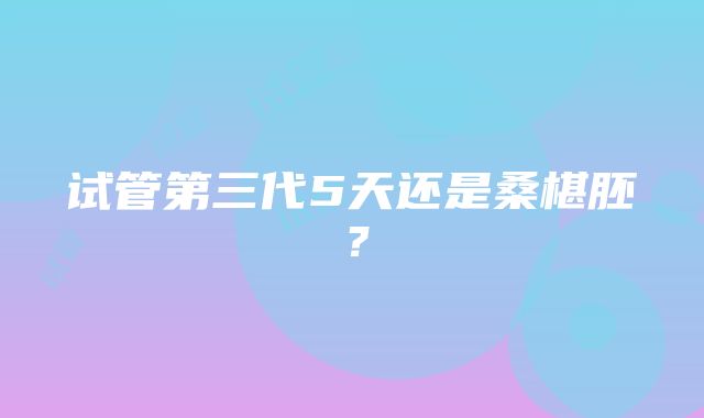 试管第三代5天还是桑椹胚？