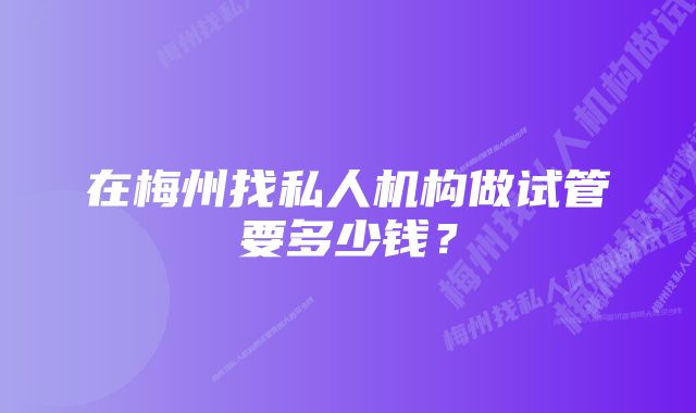 在梅州找私人机构做试管要多少钱？