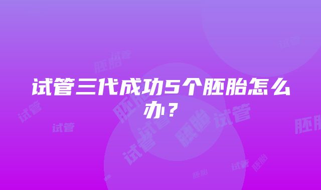 试管三代成功5个胚胎怎么办？