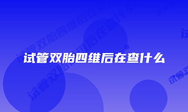 试管双胎四维后在查什么