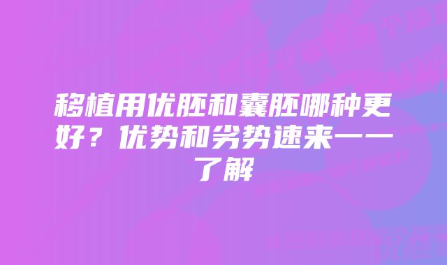 移植用优胚和囊胚哪种更好？优势和劣势速来一一了解