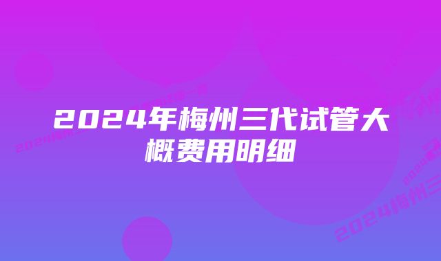 2024年梅州三代试管大概费用明细