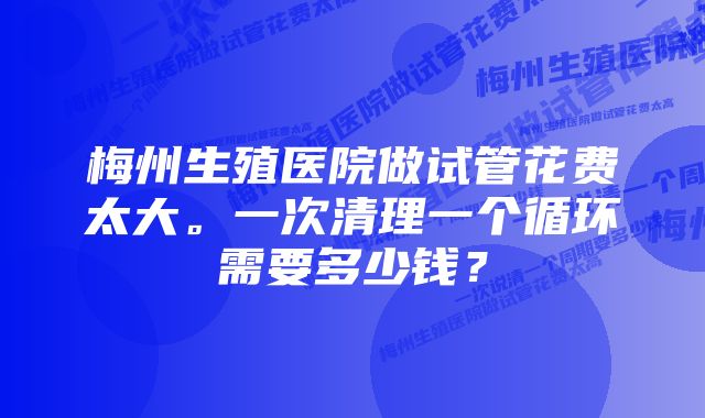 梅州生殖医院做试管花费太大。一次清理一个循环需要多少钱？