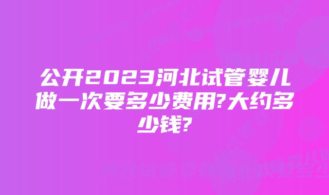 公开2023河北试管婴儿做一次要多少费用?大约多少钱?