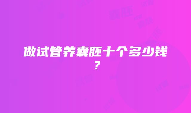 做试管养囊胚十个多少钱？