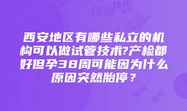 西安地区有哪些私立的机构可以做试管技术?产检都好但孕38周可能因为什么原因突然胎停？