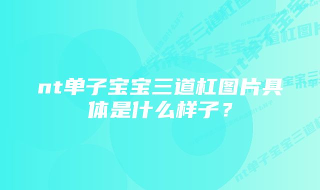 nt单子宝宝三道杠图片具体是什么样子？