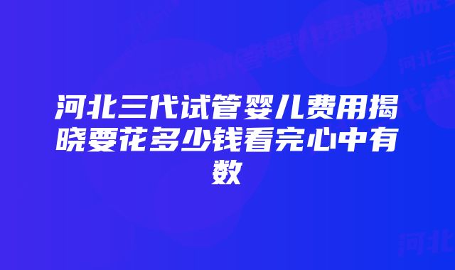 河北三代试管婴儿费用揭晓要花多少钱看完心中有数