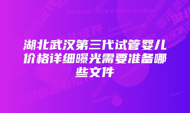 湖北武汉第三代试管婴儿价格详细曝光需要准备哪些文件