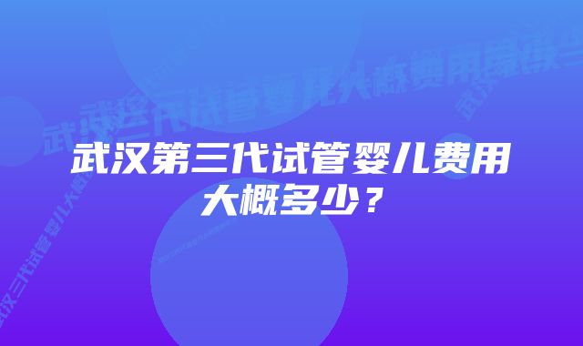 武汉第三代试管婴儿费用大概多少？