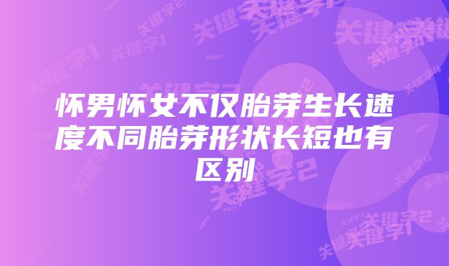 怀男怀女不仅胎芽生长速度不同胎芽形状长短也有区别