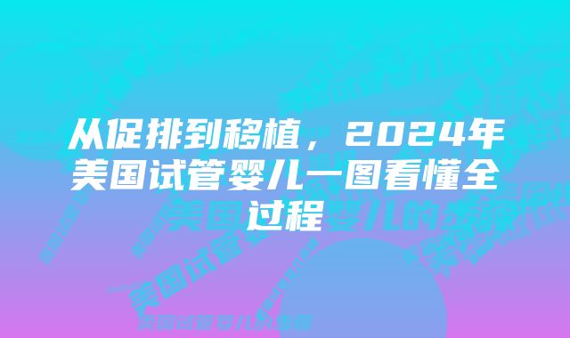 从促排到移植，2024年美国试管婴儿一图看懂全过程