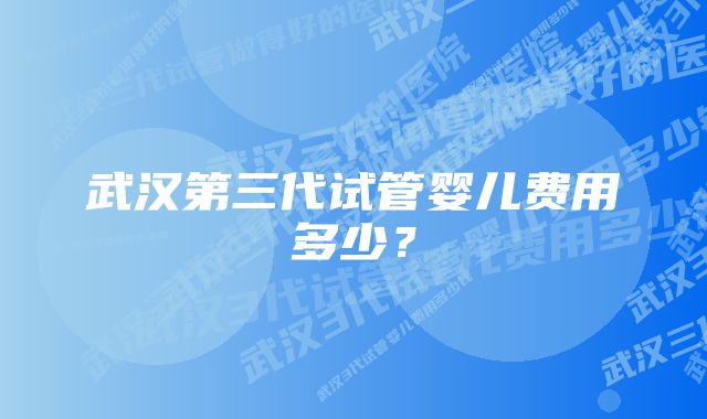 武汉第三代试管婴儿费用多少？