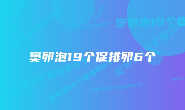 窦卵泡19个促排卵6个