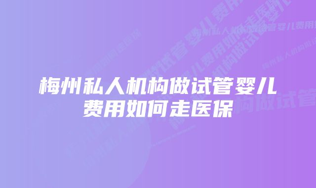 梅州私人机构做试管婴儿费用如何走医保