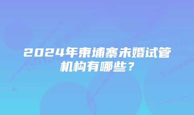 2024年柬埔寨未婚试管机构有哪些？