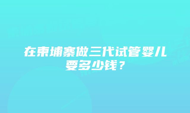 在柬埔寨做三代试管婴儿要多少钱？