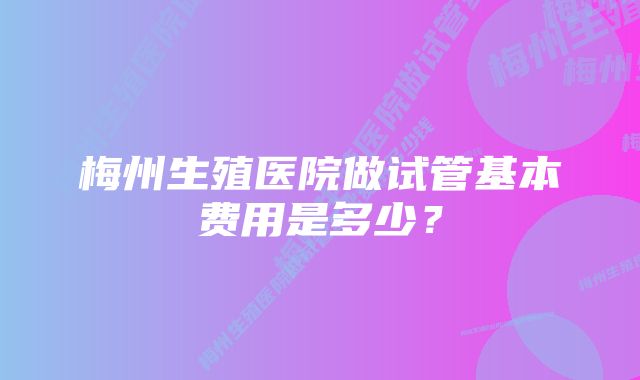 梅州生殖医院做试管基本费用是多少？