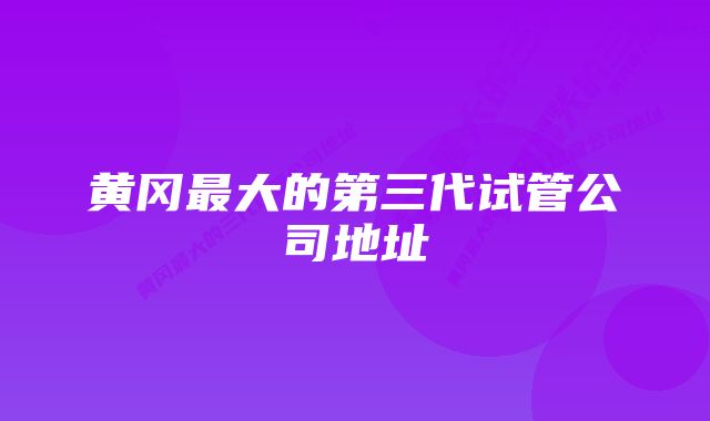 黄冈最大的第三代试管公司地址