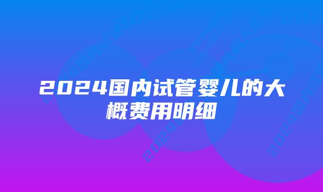 2024国内试管婴儿的大概费用明细