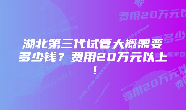 湖北第三代试管大概需要多少钱？费用20万元以上！