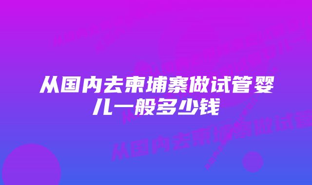 从国内去柬埔寨做试管婴儿一般多少钱