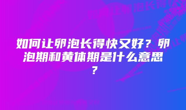 如何让卵泡长得快又好？卵泡期和黄体期是什么意思？