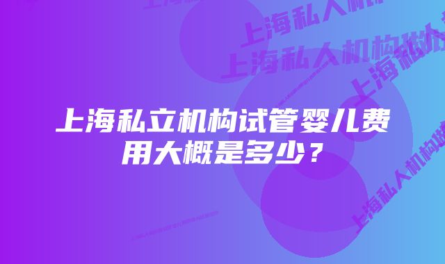 上海私立机构试管婴儿费用大概是多少？