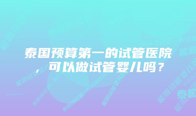 泰国预算第一的试管医院，可以做试管婴儿吗？