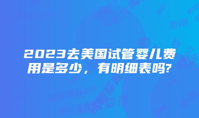 2023去美国试管婴儿费用是多少，有明细表吗?