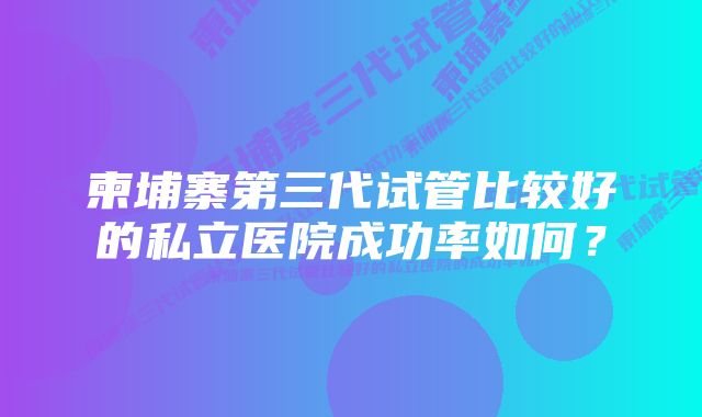 柬埔寨第三代试管比较好的私立医院成功率如何？