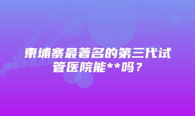 柬埔寨最著名的第三代试管医院能**吗？