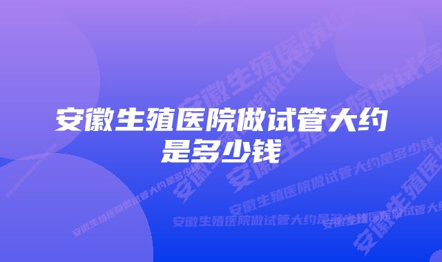 安徽生殖医院做试管大约是多少钱