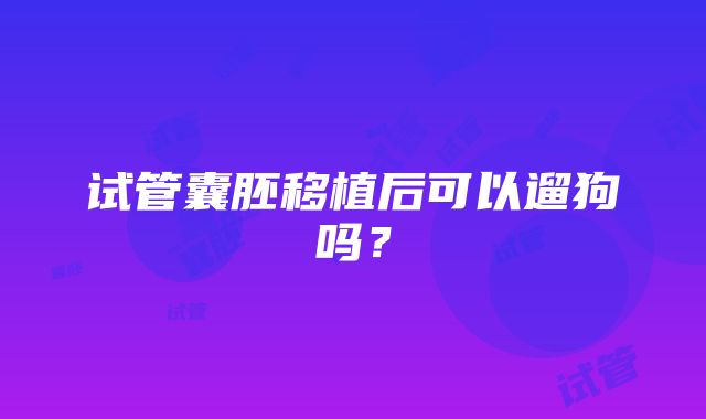 试管囊胚移植后可以遛狗吗？