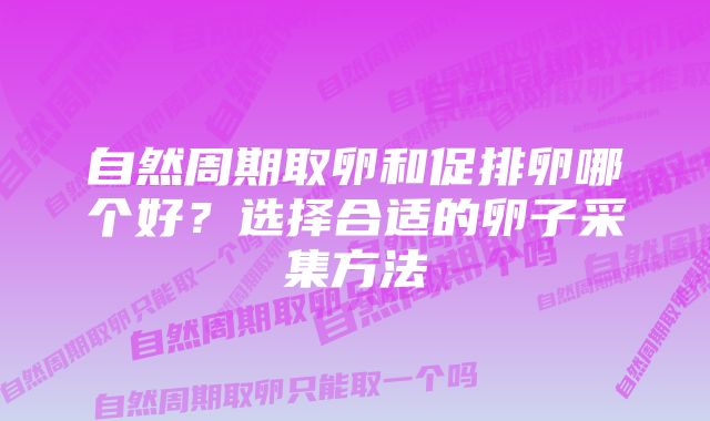 自然周期取卵和促排卵哪个好？选择合适的卵子采集方法