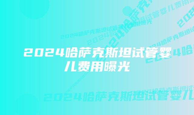 2024哈萨克斯坦试管婴儿费用曝光