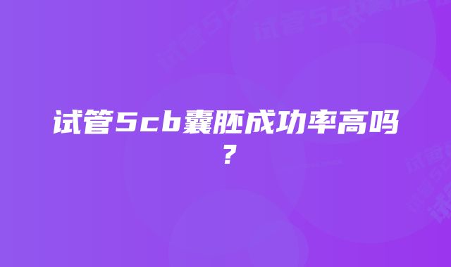 试管5cb囊胚成功率高吗？