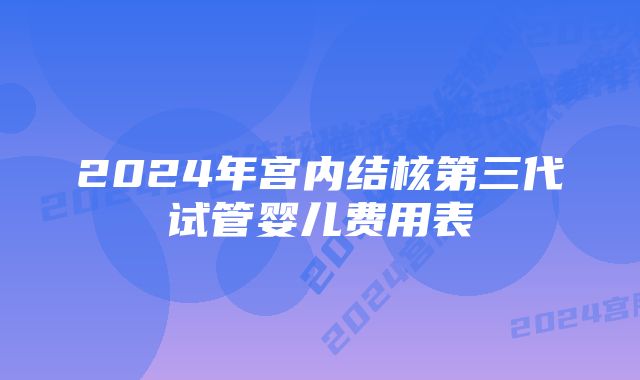 2024年宫内结核第三代试管婴儿费用表